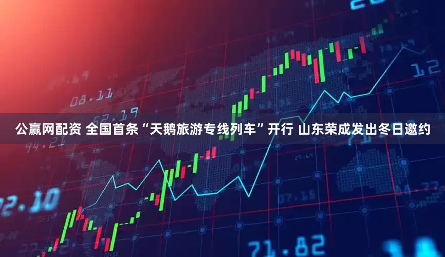 公赢网配资 全国首条“天鹅旅游专线列车”开行 山东荣成发出冬日邀约